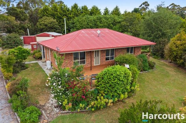 17 Coal Mines Road, TAS 7310