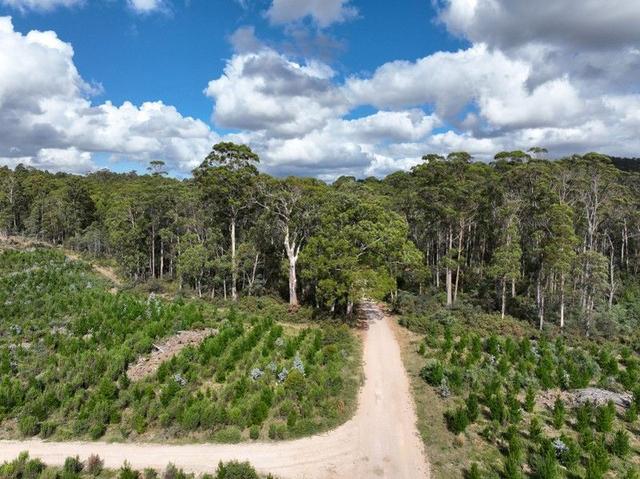 Lot 12 &13 Porters Bridge Road, TAS 7303