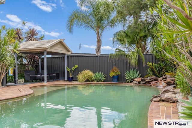 43 Macquarie Grove, NSW 2281