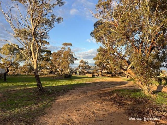 . Birnie Downs, WA 6477