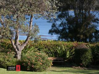 Standard Photo (2016-05-11)