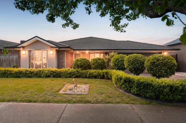 169 Rosebank Drive, VIC 3977