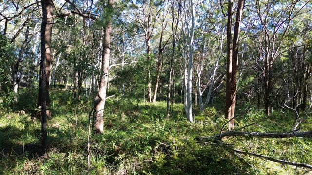 19 Eldon Drive, QLD 4184