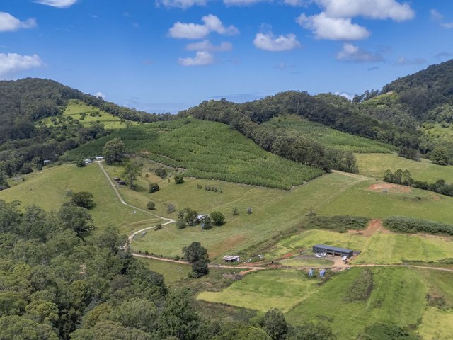 75 Colemans Rd, NSW 2448