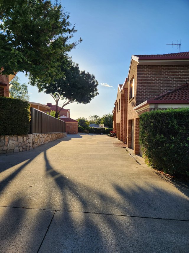 Marungul Avenue, ACT 2913