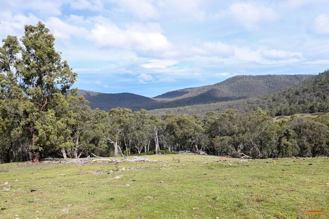 Lots 61 & 81 Stuart Road, NSW 2633