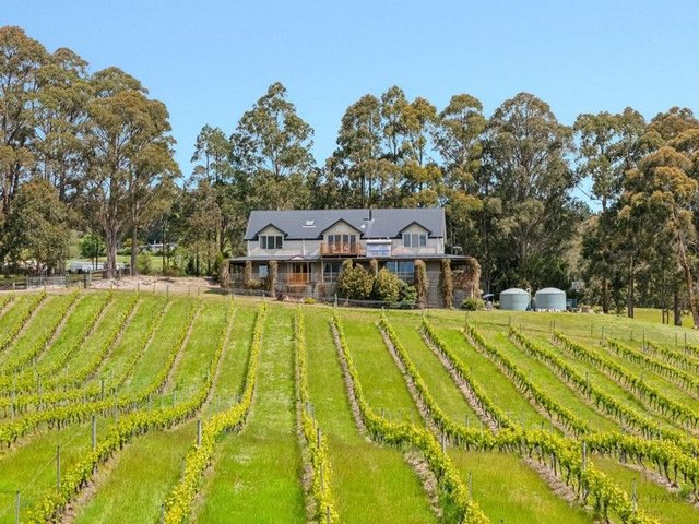 1854 Cygnet Coast Road, TAS 7109