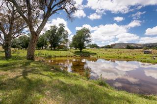 Cottage dam