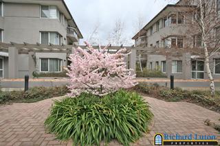 Entry-Courtyard