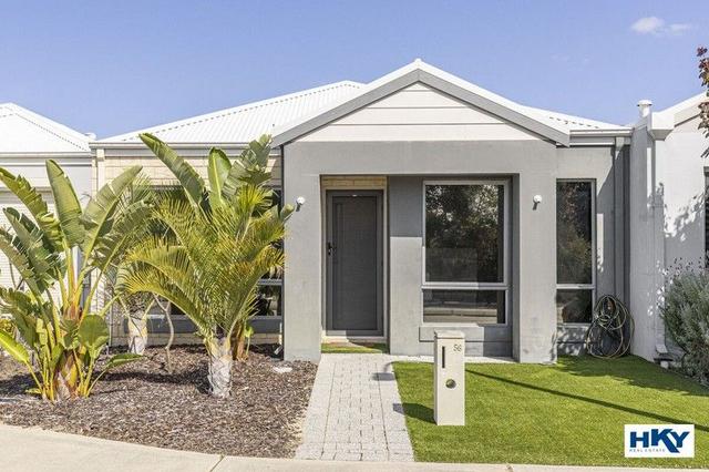 56 Dampiera Street, WA 6055