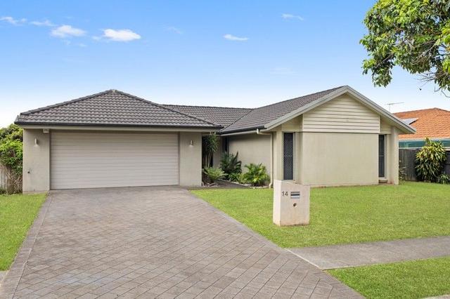 14 Willowleaf Circuit, QLD 4510