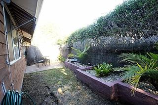 Backyard (2010-07-13)