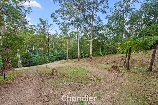 34 Hazelvale Road, VIC 3160