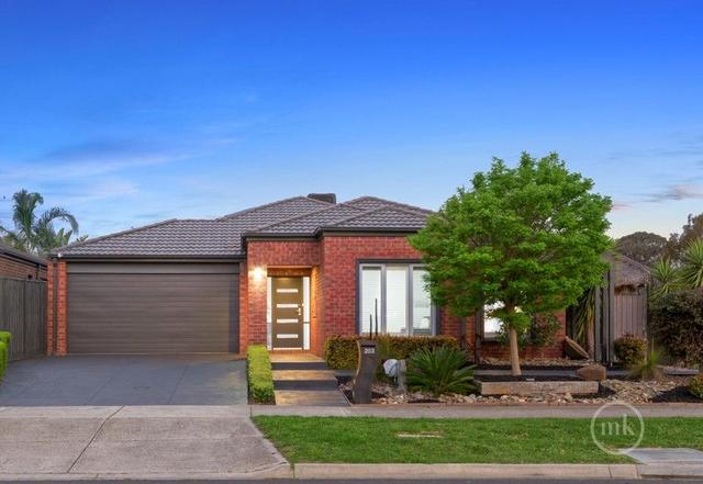 203 Painted Hills Road, VIC 3754