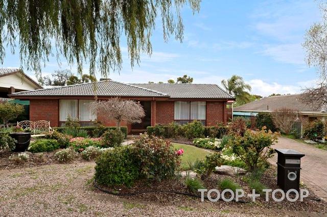58 Noritake Road, SA 5092