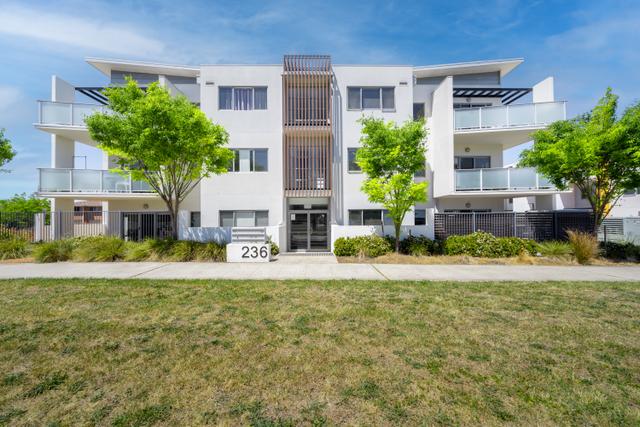 Unit 41/236 Flemington Rd, ACT 2914