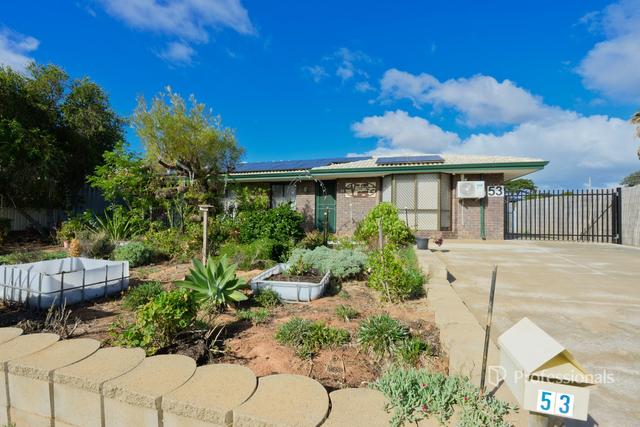 53 Solomon Circle, WA 6530