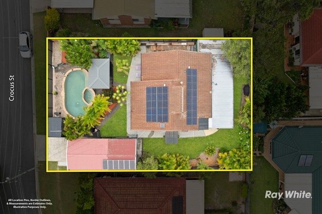 6 Crocus Street, QLD 4127