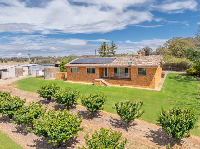 1146 Kingsvale Road, NSW 2594