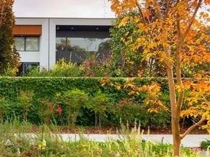 3/5 Wylde Place, ACT 2614