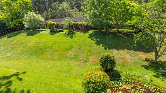 111 Bunning Creek Road, NSW 2259