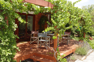 Deck (2005-01-13)