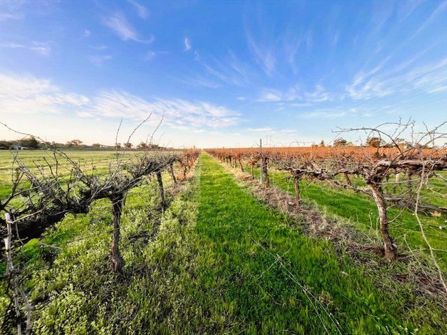106 Anderson Lane, NSW 2794