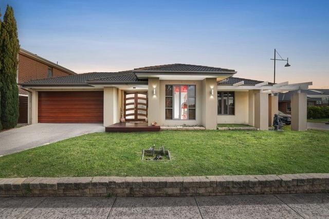 17 Maplewood Court, VIC 3977