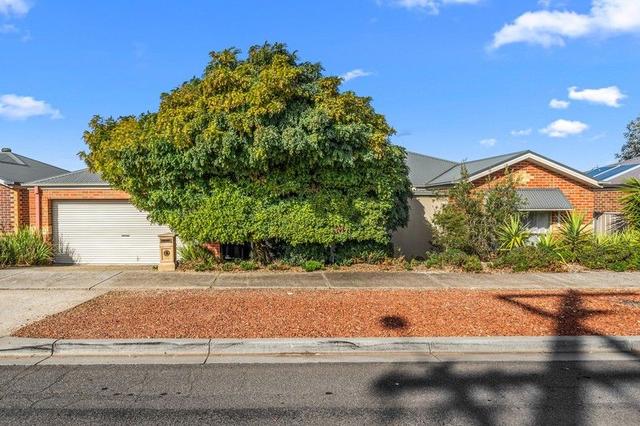 35 Morrison Street, VIC 3555