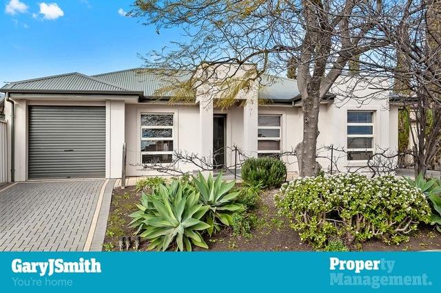 16 Felix Street, SA 5048