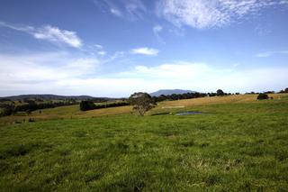 View to Mt Dromedary