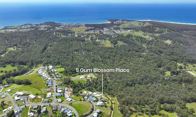 5 Gum Blossom Place, NSW 2430