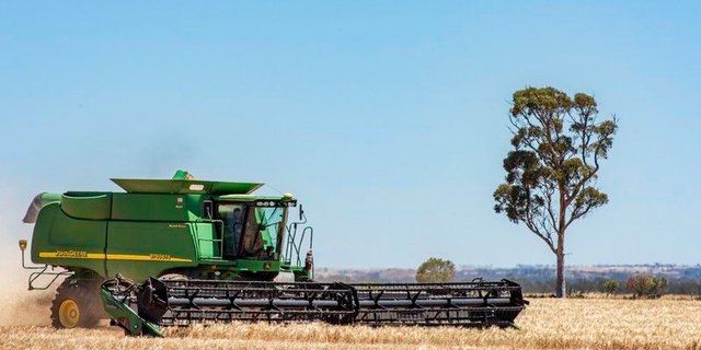 3531 Welbungin - Wialki Road, WA 6477