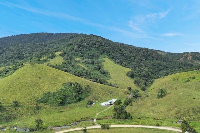254 Bee Creek Road, QLD 4757