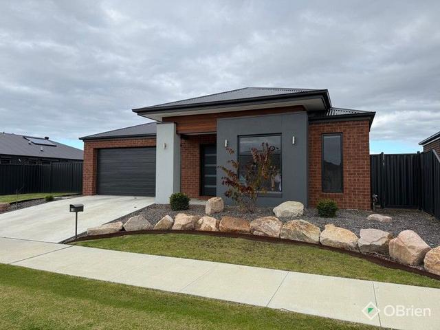 12 Honeyman Avenue, VIC 3875