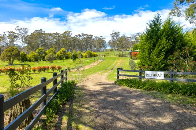 61 Wallaby Hill Road, NSW 2577