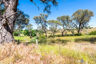 Coots Creek to Front Paddock - Lot 2