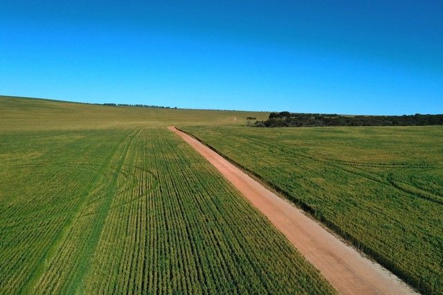 6062 Coorow-Greenhead Road, WA 6518