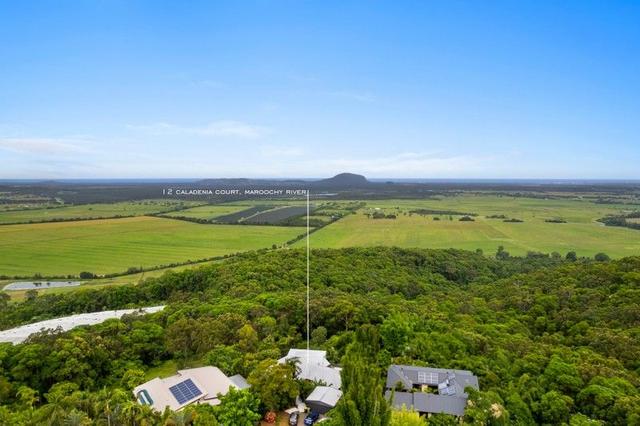 12 Caladenia Court, QLD 4561