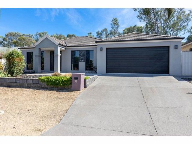 12 Dillagar Place, NSW 2641