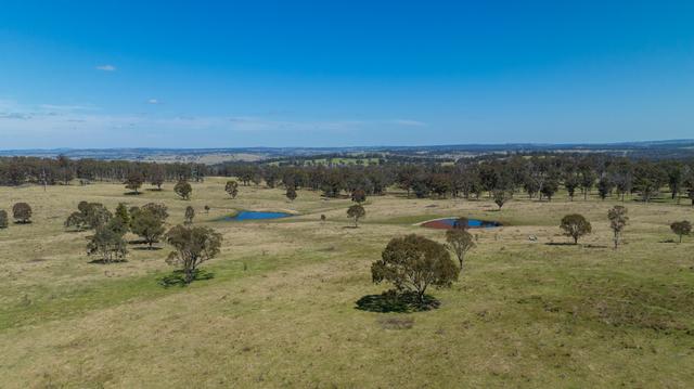 1692 Grafton Road, NSW 2350