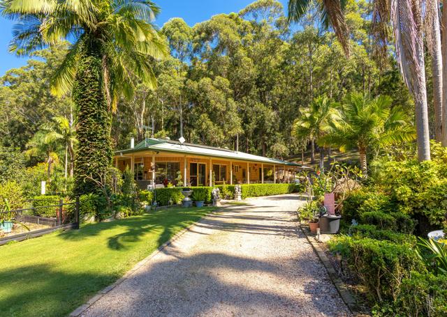 285 Riddles Brush Road, NSW 2443