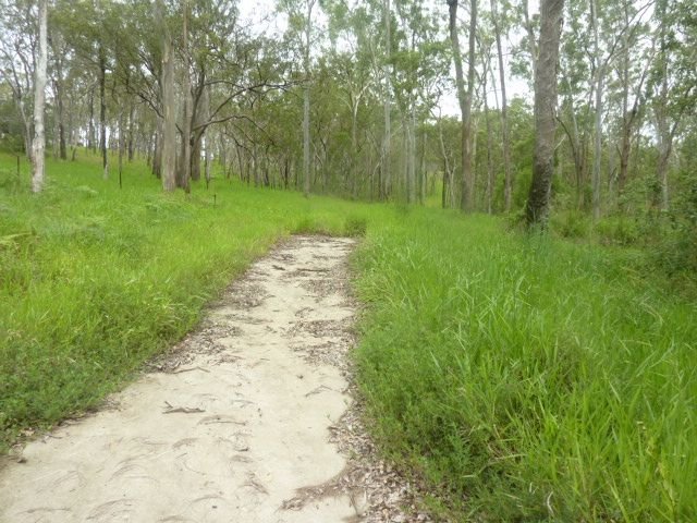 Rolley Road, QLD 4887