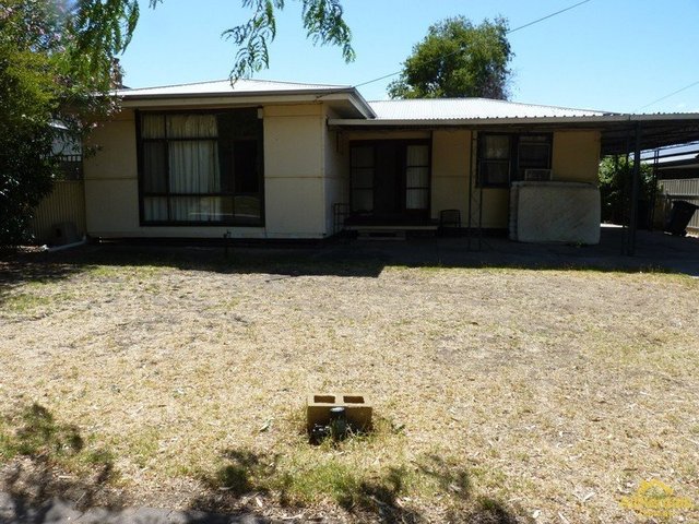 19 Fulton Street, SA 5086