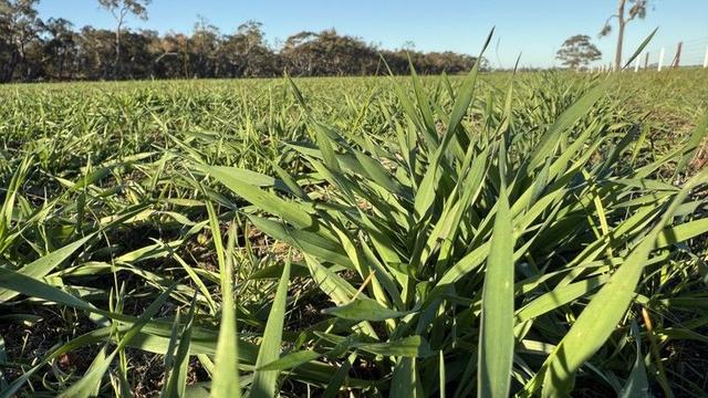 CA/75 A Watkins Road, VIC 3401