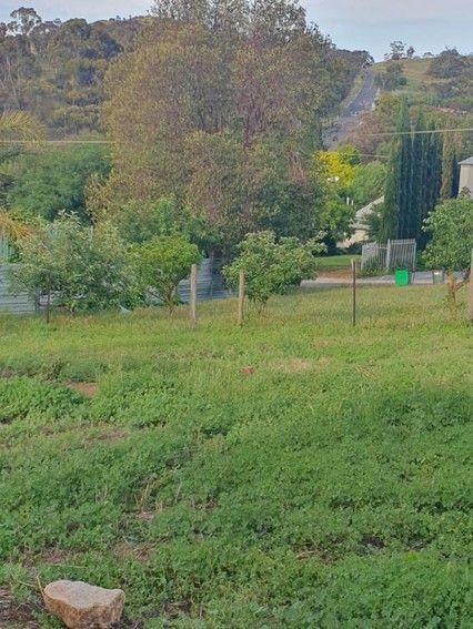 20 Sarah Street, SA 5353