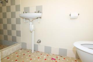 Bathroom 2 (2012-05-23)