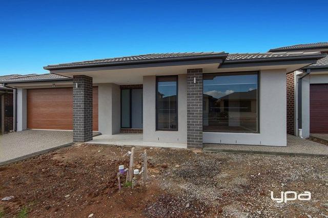 41 Signal Circuit, VIC 3336