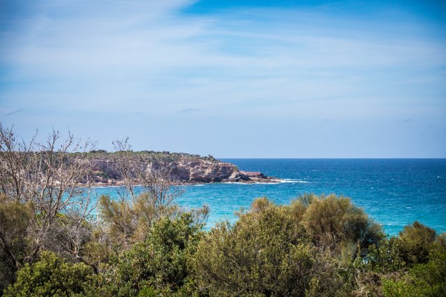 1/158 Pacific Way, NSW 2548