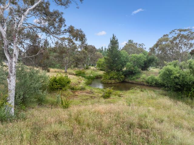 "Shepherd's Park" 17 Doust Road, NSW 2621